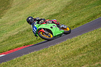 Vintage-motorcycle-club;eventdigitalimages;mallory-park;mallory-park-trackday-photographs;no-limits-trackdays;peter-wileman-photography;trackday-digital-images;trackday-photos;vmcc-festival-1000-bikes-photographs